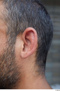 Street  688 ear 0001.jpg